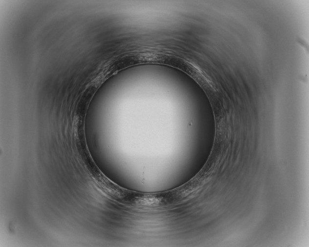 X0000096470217200802141705