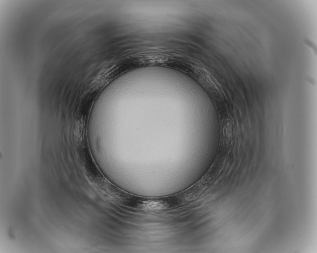 X0000096470218200802141705