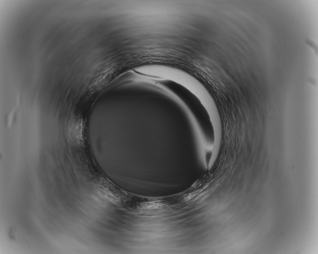 X0000096470219200802141705