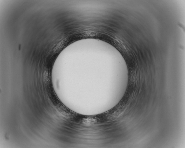 X0000096470220200802141705