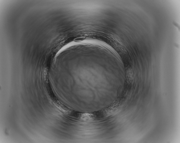 X0000096470222200802141705