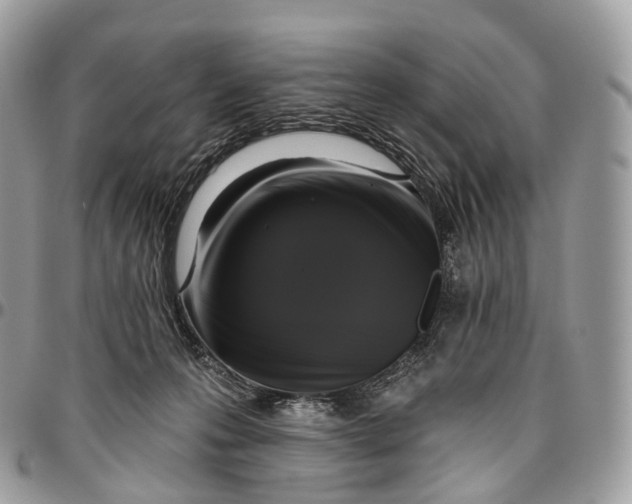 X0000096470223200802141705