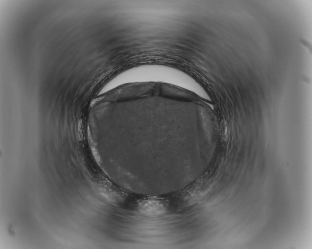 X0000096470224200802141705