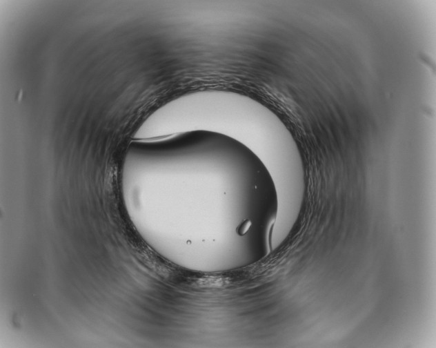 X0000096470225200802141705