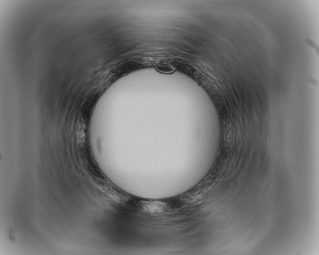 X0000096470226200802141705