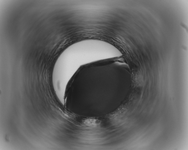 X0000096470227200802141705