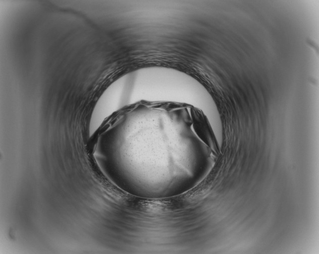 X0000096470229200802141705