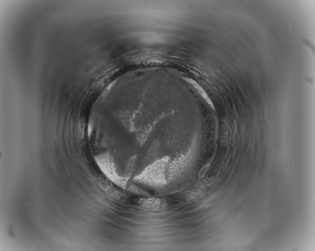 X0000096470230200802141705