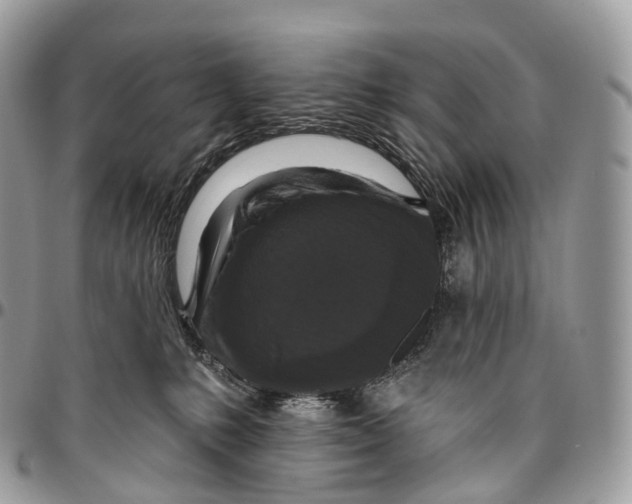 X0000096470231200802141705