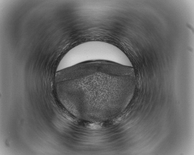 X0000096470232200802141705