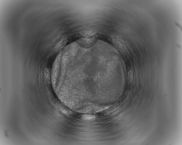 X0000096470234200802141705