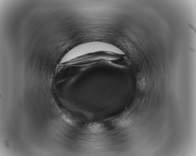 X0000096470235200802141705