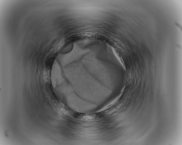 X0000096470236200802141705