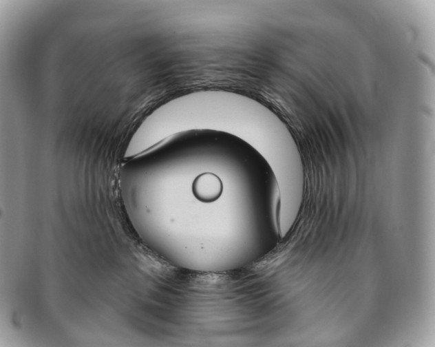 X0000096470237200802141705