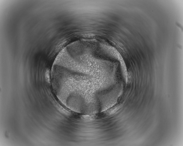 X0000096470238200802141705