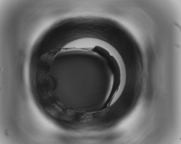 X0000096470239200802141705