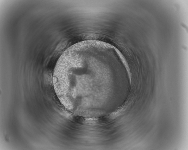 X0000096470240200802141705