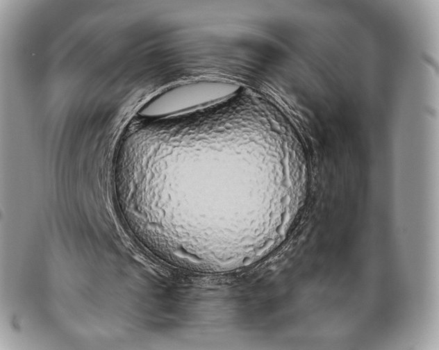 X0000096470241200802141704