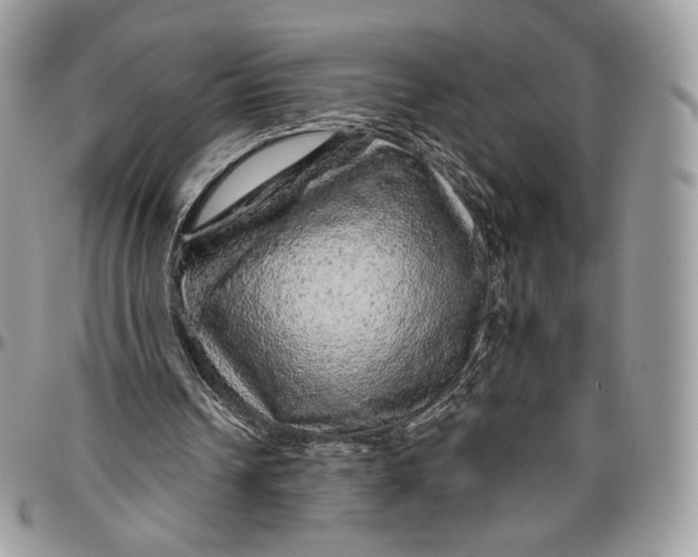 X0000096470242200802141704