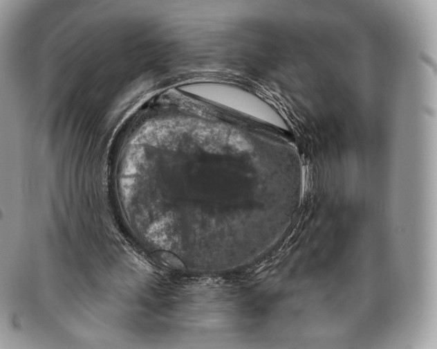 X0000096470243200802141704