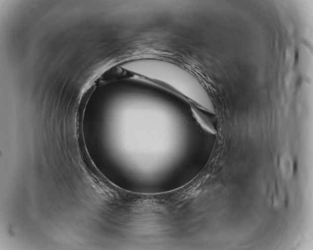 X0000096470244200802141704