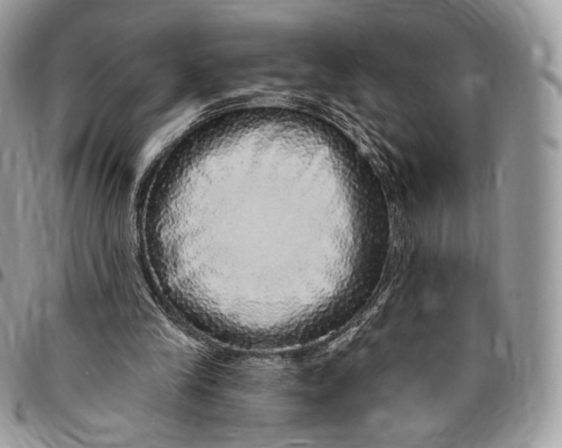 X0000096470245200802141704