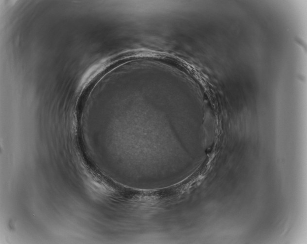 X0000096470247200802141704