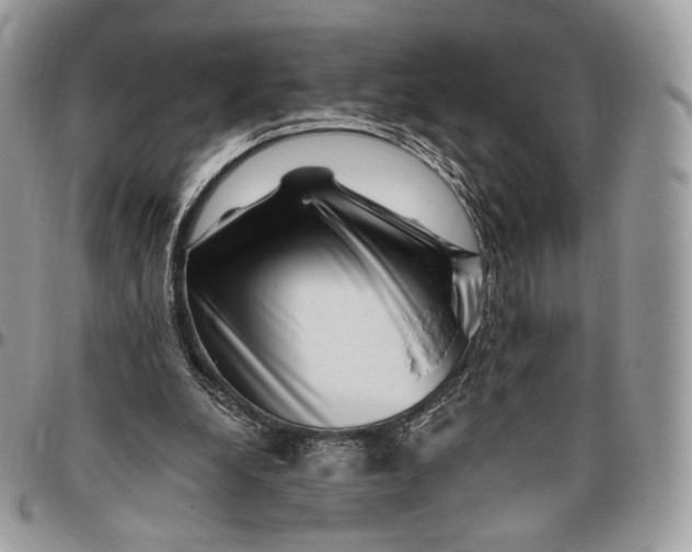 X0000096470248200802141704