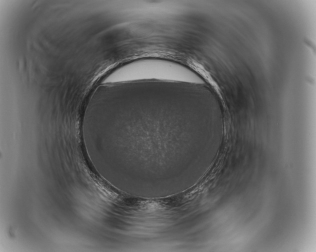 X0000096470249200802141704