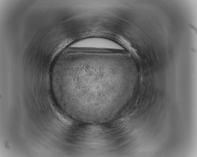 X0000096470250200802141704