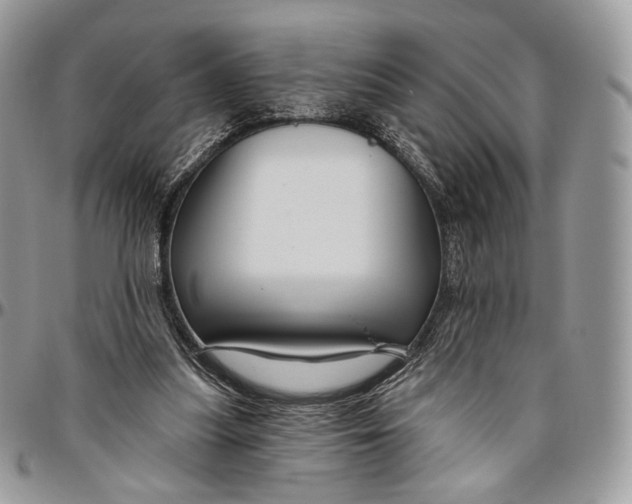 X0000096470251200802141705