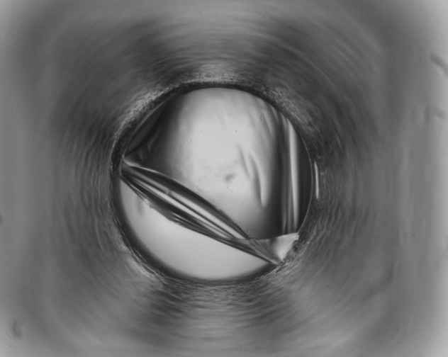 X0000096470252200802141705