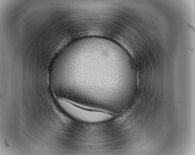 X0000096470253200802141705