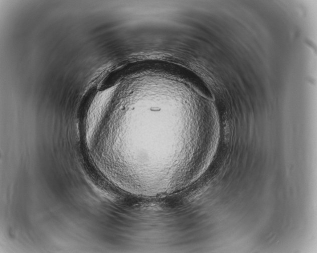 X0000096470254200802141705