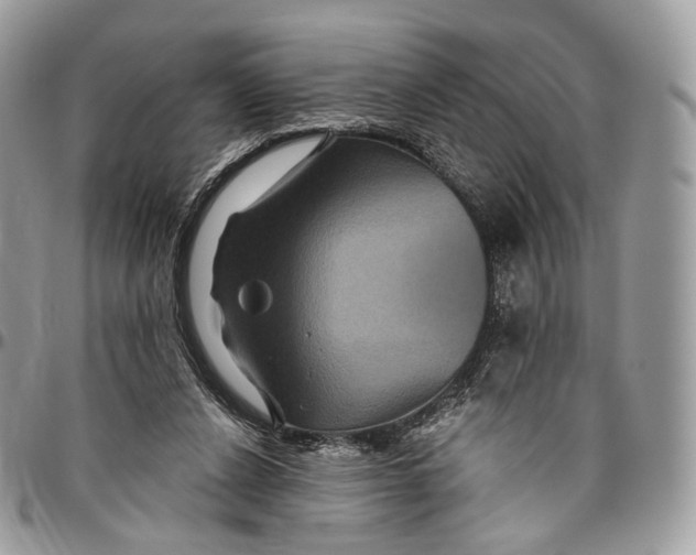 X0000096470256200802141705