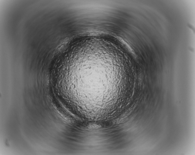 X0000096470257200802141705