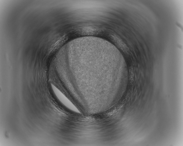 X0000096470258200802141705