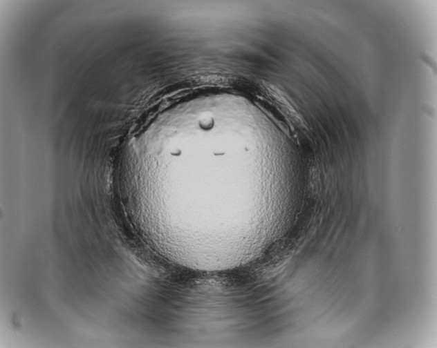 X0000096470259200802141705