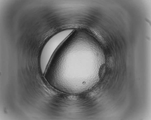 X0000096470261200802141705