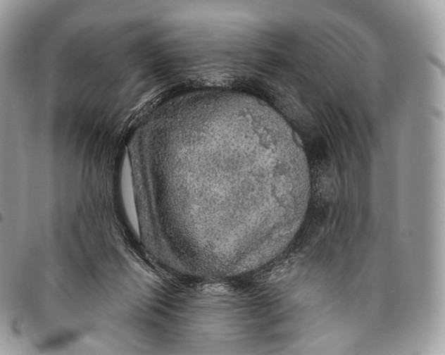 X0000096470262200802141705