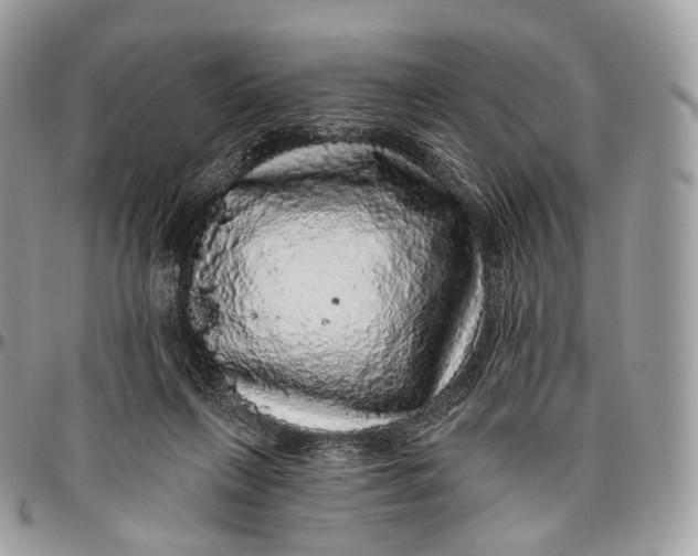 X0000096470263200802141705