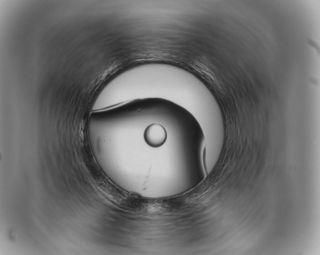 X0000096470264200802141705