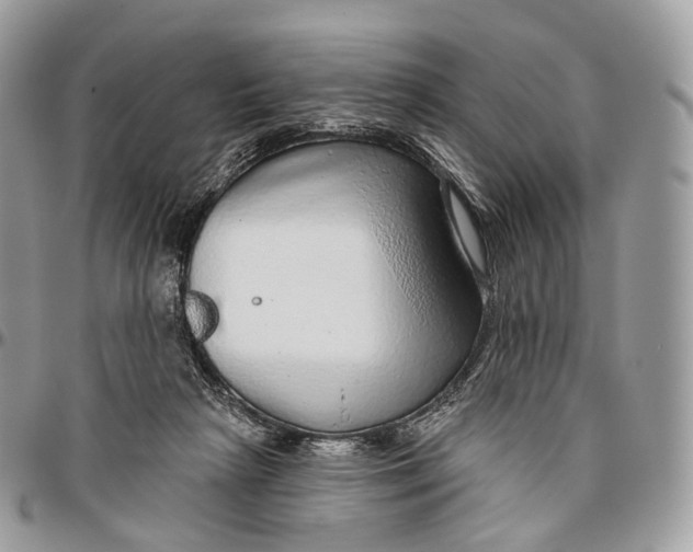 X0000096470265200802141705