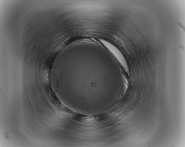 X0000096470267200802141705