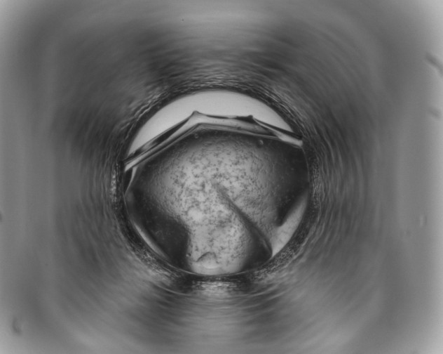 X0000096470268200802141705