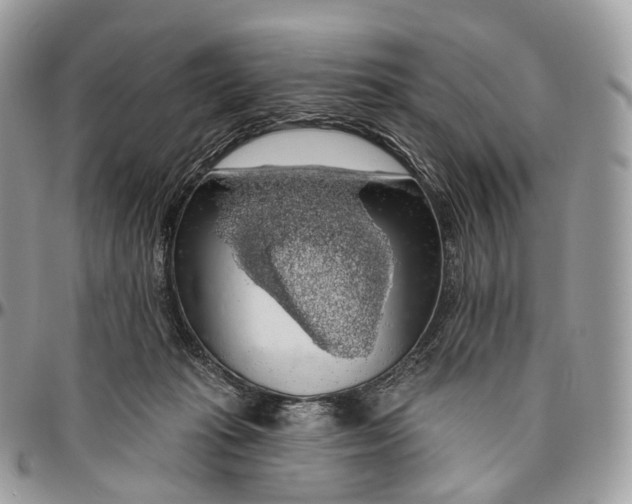 X0000096470269200802141705