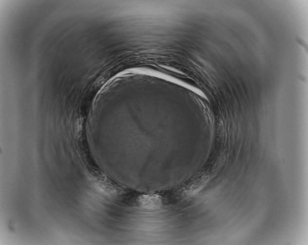 X0000096470271200802141705