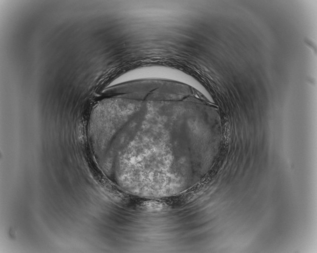 X0000096470272200802141705