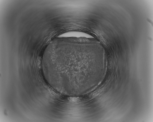 X0000096470273200802141705