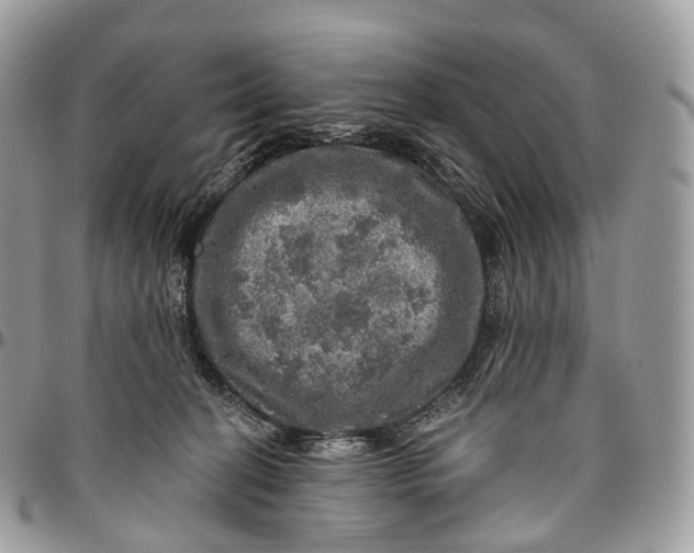 X0000096470274200802141705